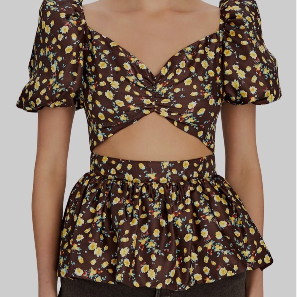 Autumn Adeigbo Floral Brown Top Size 6